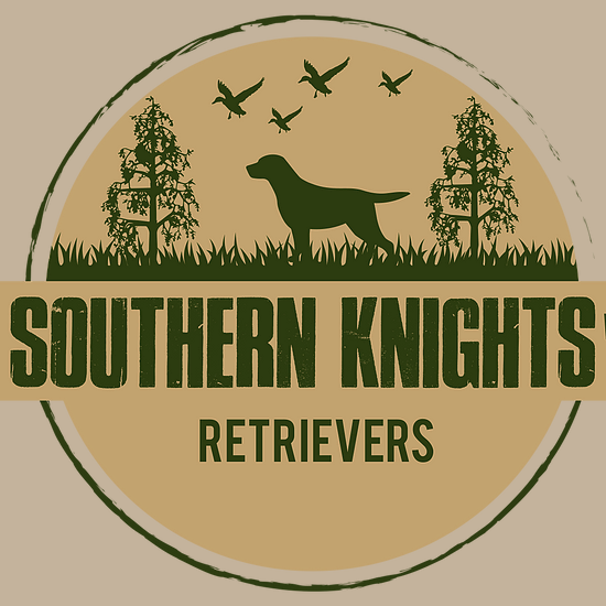 Southern Knights Retrievers